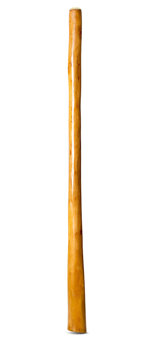Gloss Finish Didgeridoo (TW1432)